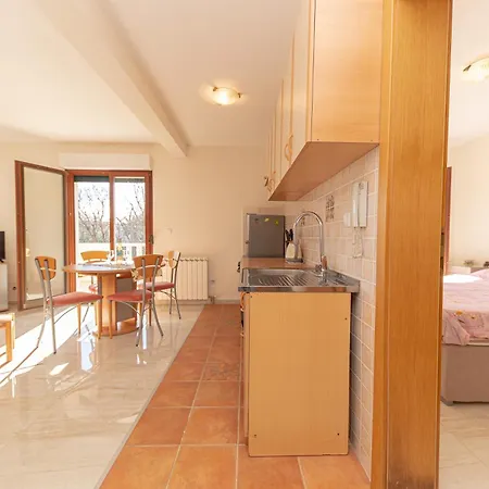 Apartment Sofija Petrovac-2
