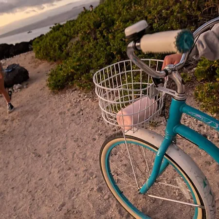 4 Bdrm House For 8 At Kamilo, Mauna Lani -- Ride Bikes Or Walk To Beach-2