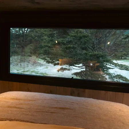 Lodge En Reserva Natural Cumbres Del Condor-3