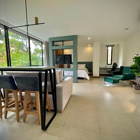 Nice Apartment 205 In San Lucas-2