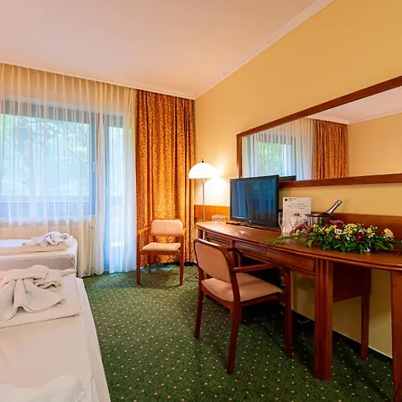 Hotel Loever Sopron-3