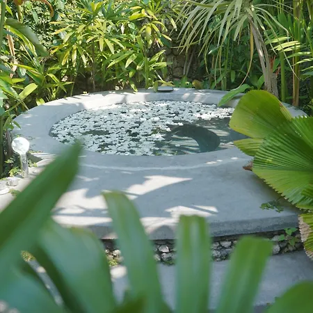 Liv Canggu - An Urban Sanctuary-2
