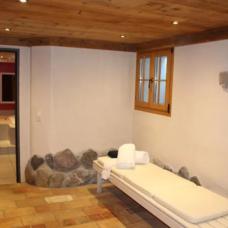 Hotel Alphorn-3