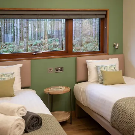 Blackwood Forest Cabins - Forest Holidays-3