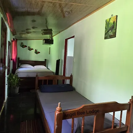 Angel Bee Lodge-2