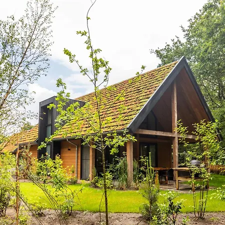 Bos Villa Met Hottub & Sauna | 8 Personen-3