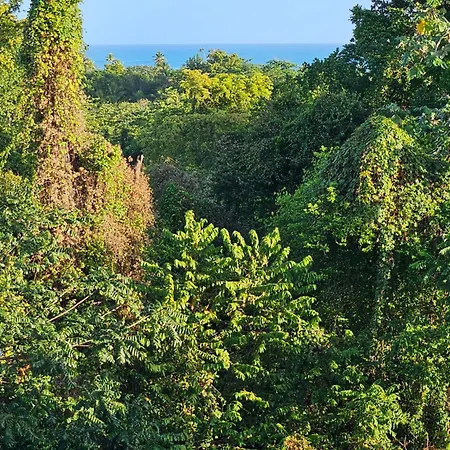 Las Terrenas Paradise-3