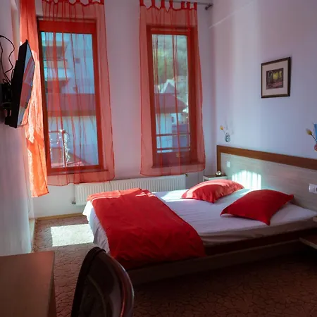 Vila Nicoleta-3