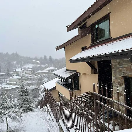 Къща За Гости Seltse Villa-3
