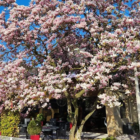 Villa Am Park-2