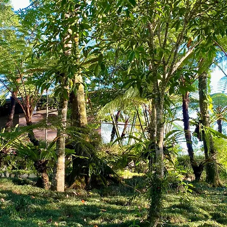 Castle In The Sky Mountain Bliss, Kintamani Area-3