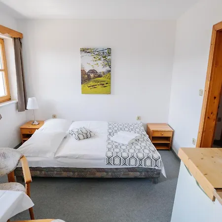 Guesthouse Jelenov Greben-2