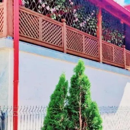 Vila Mirsada-3