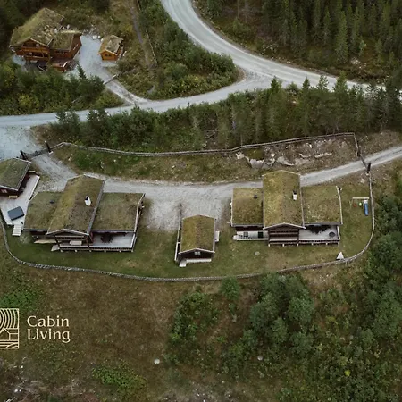 Large Cabin At Nesfjellet With Lovely View, Inddor Jacuzzi & Sauna-2