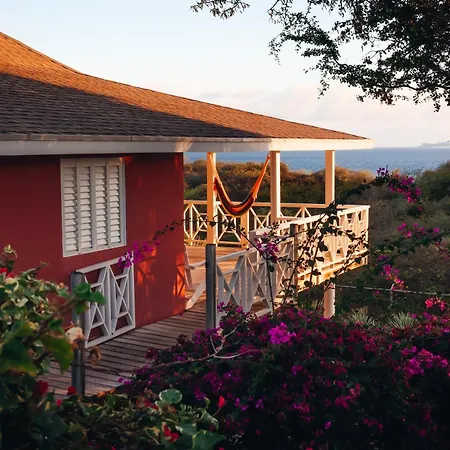 Chogogo Dive & Beach Resort Curacao-3