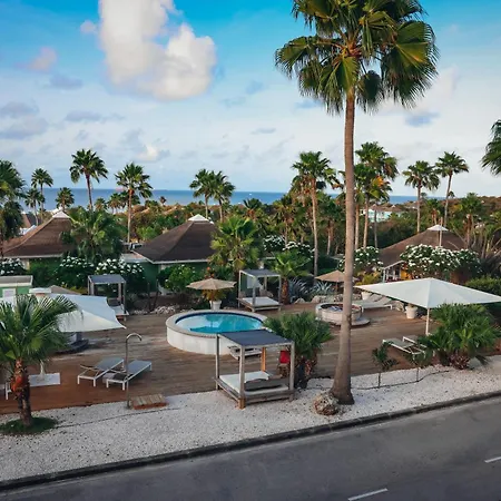Chogogo Dive & Beach Resort Curacao-2