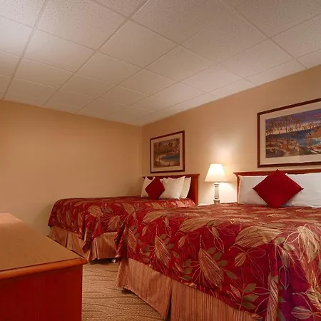 Best Western Naples Inn&Suites-3