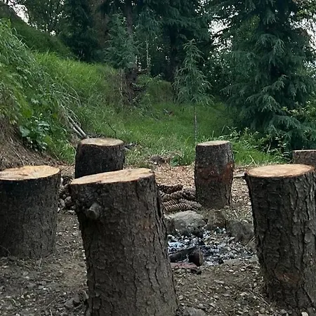The Woodnest-3
