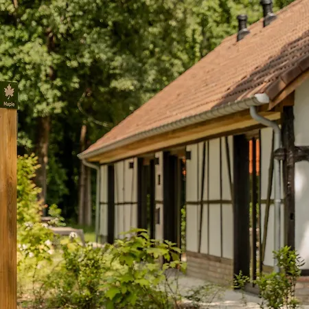 Villa Lodge Met Jacuzzi - 8 Personen - Woodz Lodges-2