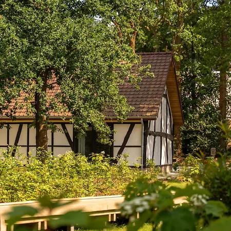 Villa Lodge Met Jacuzzi - 8 Personen - Woodz Lodges-3