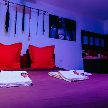 Loveroom Very Good Trip Chambre Avec Jacuzzi Privatif-2