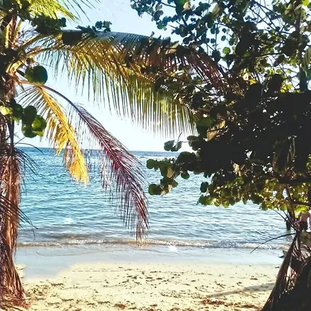 Stay Here In Colonia Tropical Juan Dolio-3