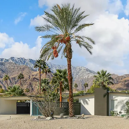Bright & Harmonious Oasis-2