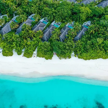 Coco Bodu Hithi - Stay 4 Nights Or More And Enjoy 30 Percent Off Shared Roundtrip Speedboat, Valid For Stays Until 31St August 2026-2