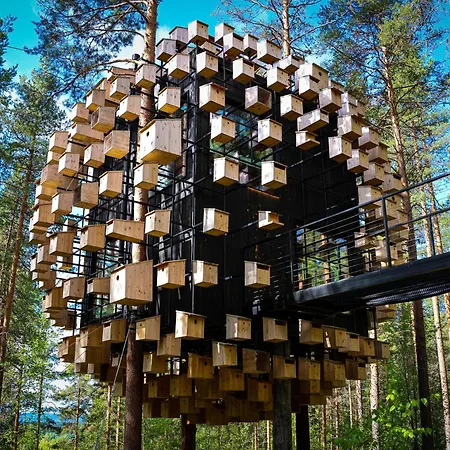 Treehotel-3