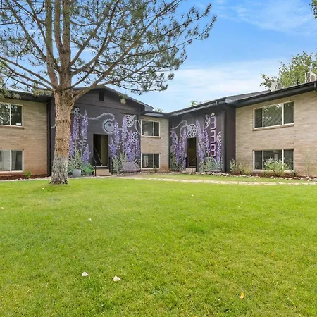 Downtown Cozy Home Base - Purple Sage 6-3