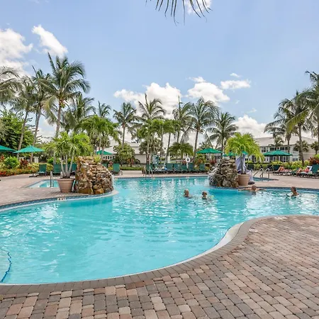 Royal Palm-2
