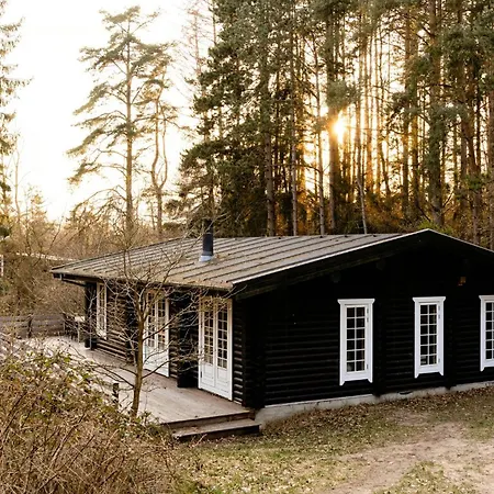 Cozy Times In Log House Amongst Trees-2