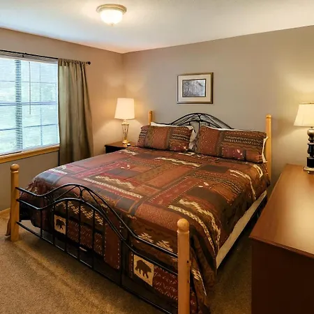 Free Tickets Hot Tub 2Br Near Pigeon Forge-3