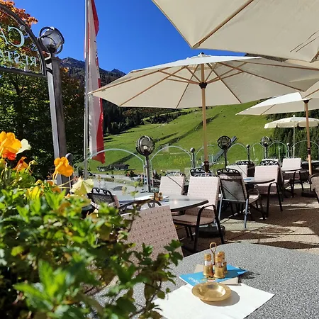 Hotel Almhof-3