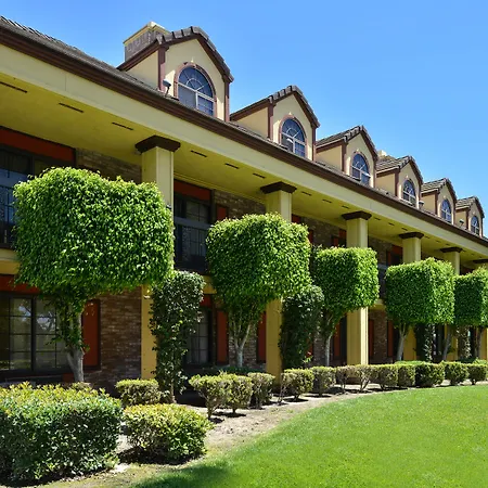 Best Western Plus Raffles Inn&Suites-2