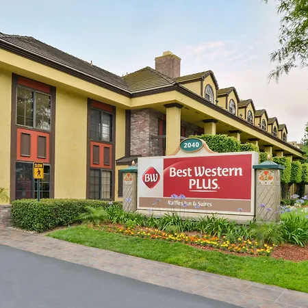 Best Western Plus Raffles Inn&Suites-3
