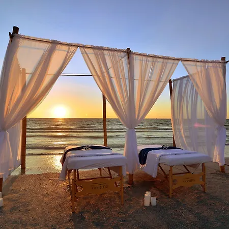 The Don Cesar-3