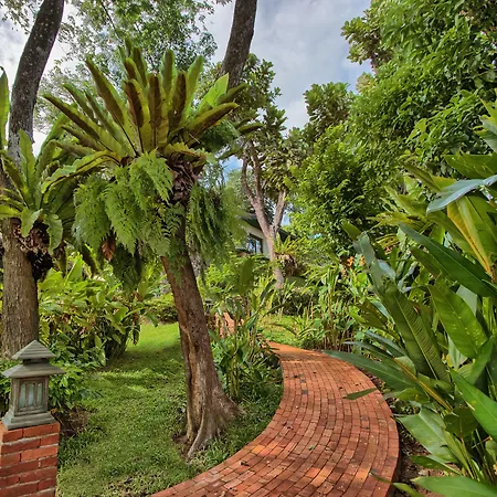 Mangosteen Ayurveda&Wellness Resort - SHA Plus-3
