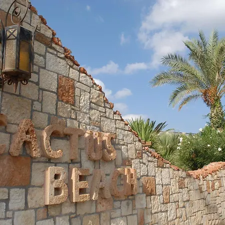 Cactus Beach Hotel-3