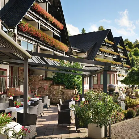Hotel Dollenberg-3