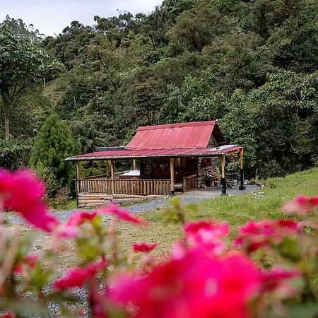 Beautiful Cabin Love And Nature-2