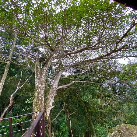 Odoya Cabana A Beria-Mar-3