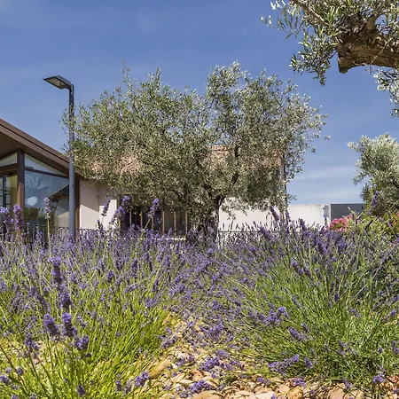 Terre De Provence Hotel & Spa-2