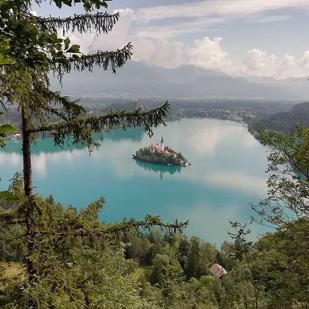 Bled Rose Hotel-2