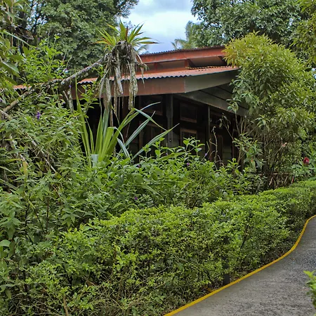 Pachira Lodge-2