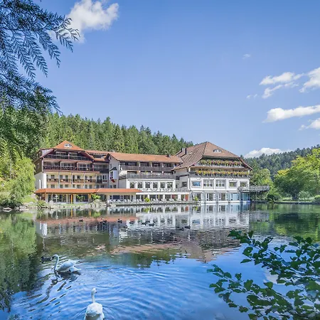 Hotel Langenwaldsee-3