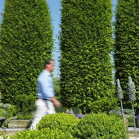 Romantik Parkhotel Het Gulpdal-3