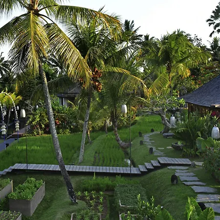 Chapung Sebali-3