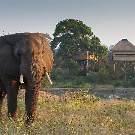 Pondoro Game Lodge-2