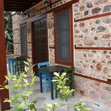 Hotel Villa Turka-2